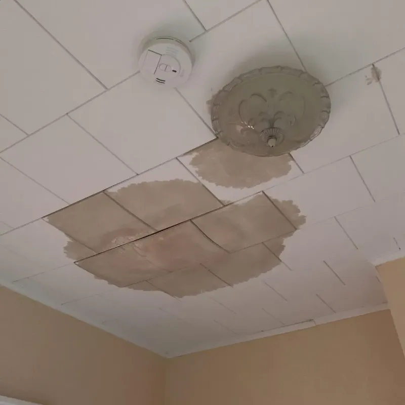 Ceiling Water Damage Repair in Lockport, NY