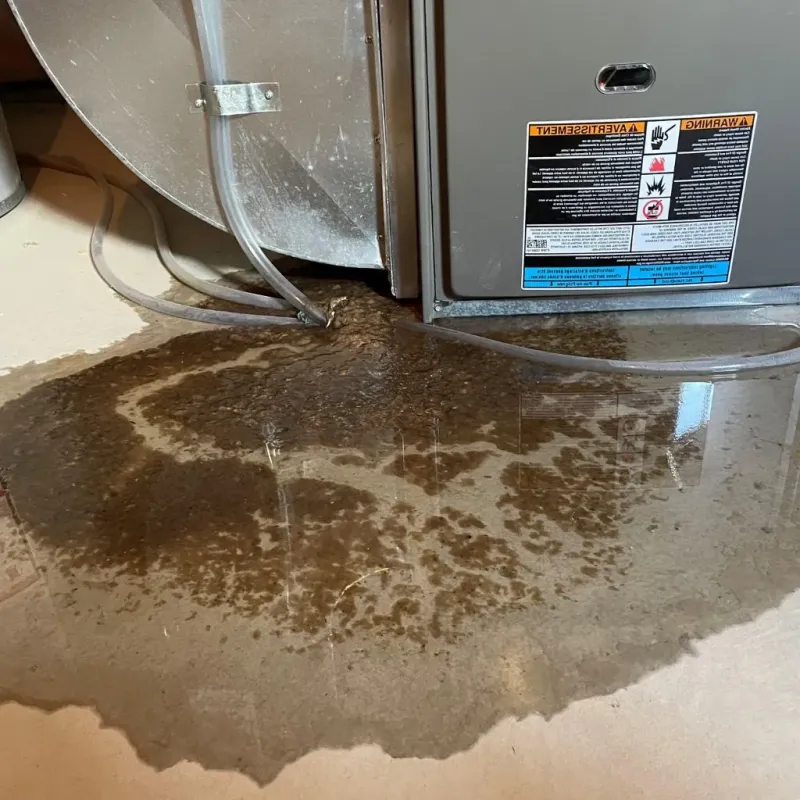 Pipe Burst and Leak Restoration in Lockport, NY